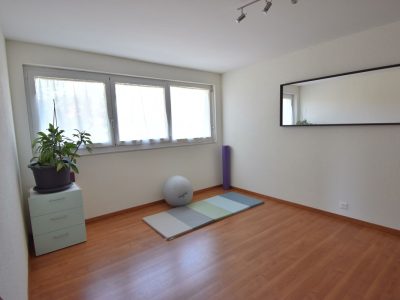 istar immobilier agence immobilière courtage achat location estimation léchelles fribourg suisse