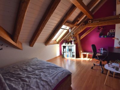 istar immobilier agence immobilière courtage achat location estimation léchelles fribourg suisse