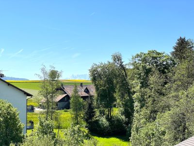 IMG_1866 - copie