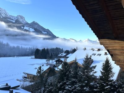 IMG_2792 - copie