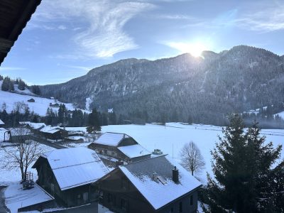 IMG_2795 - copie