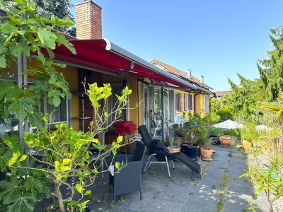 IMG_4807 - copie