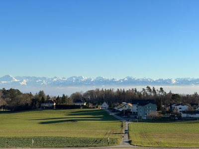 IMG_9499 - copie