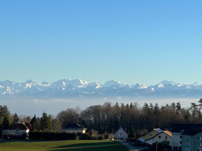 IMG_9501 - copie
