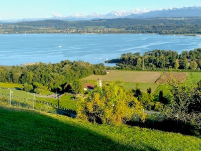 Vue sur le lac de Morat et les Alpes bernoises