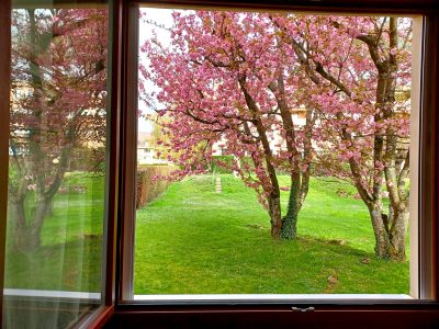 Vue du jardin depuis la cuisine